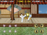 Karate Fighter screenshot, image №36752 - RAWG