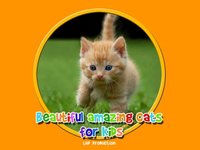 beautiful amazing cats for kids free screenshot, image №1866658 - RAWG