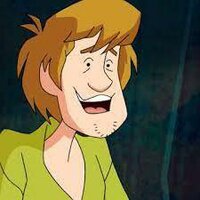 Shaggy Sharters screenshot, image №2832477 - RAWG