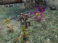 Dungeon Siege 2 screenshot, image №381314 - RAWG