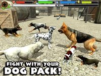 Stray Dog Simulator screenshot, image №1967992 - RAWG