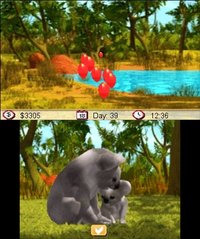 Outback Pet Rescue 3D screenshot, image №243167 - RAWG