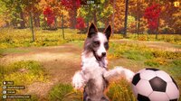Animal Shelter 2 screenshot, image №4234335 - RAWG