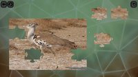 Puzzles for smart: Birds screenshot, image №1674561 - RAWG