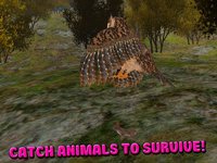 Owl Bird Survival Simulator 3D Free screenshot, image №1333239 - RAWG