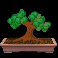 Bonsai (itch) screenshot, image №1059771 - RAWG