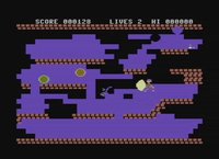 Beatnik Bert (C64) Commodore 64 screenshot, image №2301765 - RAWG