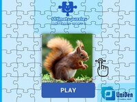 Ultimate Puzzles: Animals 2 screenshot, image №2695883 - RAWG