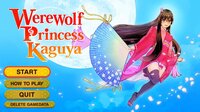 Pixel Game Maker Series Werewolf Princess Kaguya screenshot, image №2644205 - RAWG