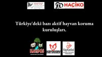 Arayış screenshot, image №3331296 - RAWG