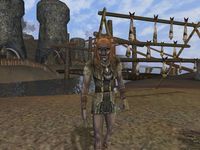 Dark Age of Camelot: Shrouded Isles screenshot, image №369112 - RAWG
