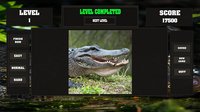 Fitzzle: Vicious Alligators screenshot, image №844400 - RAWG