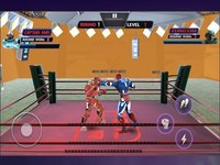 Robot Hero Ring Fighting screenshot, image №2187819 - RAWG