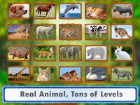 Animal Jigsaw Puzzles: puppy & cat puzzles screenshot, image №1847110 - RAWG