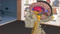 3D Organon VR Anatomy screenshot, image №133206 - RAWG