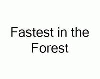 Fastest in the Forest screenshot, image №1232775 - RAWG