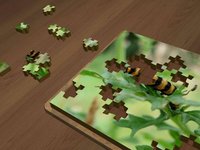 Super Jigsaws Bugs & Creatures screenshot, image №1330718 - RAWG