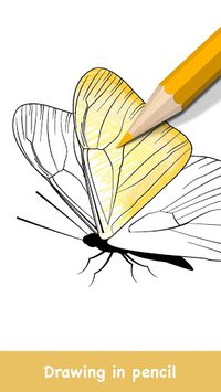 Butterflies Coloring Books screenshot, image №1380897 - RAWG