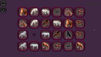 Animals Memory: Horses screenshot, image №1667125 - RAWG