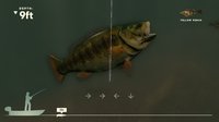 Rapala Fishing Pro Series screenshot, image №1686609 - RAWG