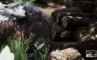 Empty Nest (GGJ '18) screenshot, image №1819761 - RAWG