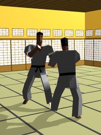 touch Karate (Universal) screenshot, image №1808602 - RAWG