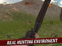 Archery Forest Animal 3D screenshot, image №923138 - RAWG