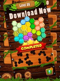 Hexa Wood Block Puzzle! screenshot, image №901403 - RAWG