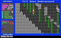 Jill of the Jungle 2: Jill Goes Underground screenshot, image №344813 - RAWG