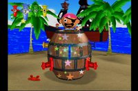 Party Fun Pirate screenshot, image №251402 - RAWG