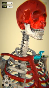Bones (Vicarious) screenshot, image №1861269 - RAWG