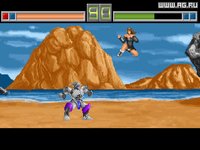 Violent Fighter screenshot, image №318665 - RAWG
