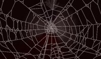 Arachnophobia (itch) (CPUGuy) screenshot, image №3533822 - RAWG
