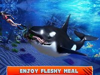 Killer Whale Beach Attack 3D screenshot, image №895432 - RAWG