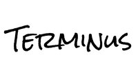 Terminus (itch) (TommyMP16) screenshot, image №2474737 - RAWG