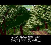 Mystery Dungeon: Shiren the Wanderer (1995) screenshot, image №751376 - RAWG