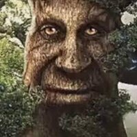 mystical tree experience screenshot, image №3613960 - RAWG