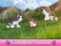 Farm Cat Simulator: Animal Quest 3D screenshot, image №1625942 - RAWG