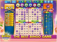 Bingo Kingdom - Bingo Live screenshot, image №1688166 - RAWG