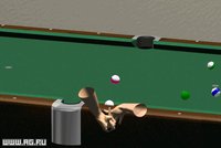 Pool Champion screenshot, image №315094 - RAWG