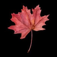 Autumn Leaves (liadovdat5) screenshot, image №3027896 - RAWG