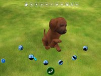 Doggies screenshot, image №559915 - RAWG