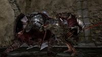 Dark Souls II screenshot, image №162693 - RAWG