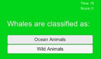 Animal Game screenshot, image №1289902 - RAWG