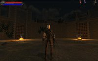 Witcher Arena Demo screenshot, image №1251516 - RAWG