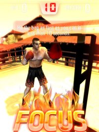 Iron Fist Boxing screenshot, image №1789949 - RAWG