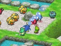 Pokémon Conquest screenshot, image №244946 - RAWG