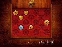 Go To Gold – Chinese Puzzle screenshot, image №2987807 - RAWG