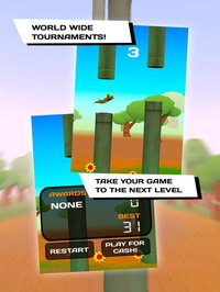 What The Flap! - Tournament screenshot, image №1327398 - RAWG