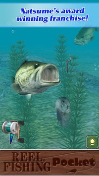 Reel Fishing Pocket screenshot, image №973528 - RAWG